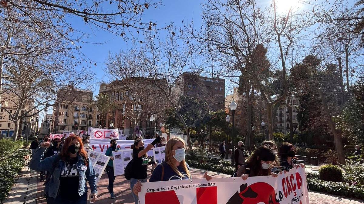 Más de 300 personas se manifiestan contra la caza en Castellón