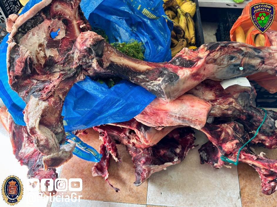 Imagen de varias patas de jamón podridas en la carnicería de Granada clausurada