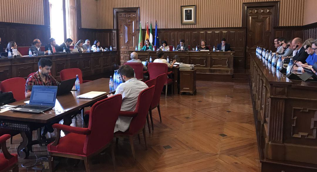 Pleno de la Diputaci&oacute;n Provincial de Ja&eacute;n.