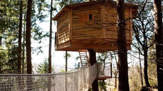 Fuente: Cabañas en el árbol