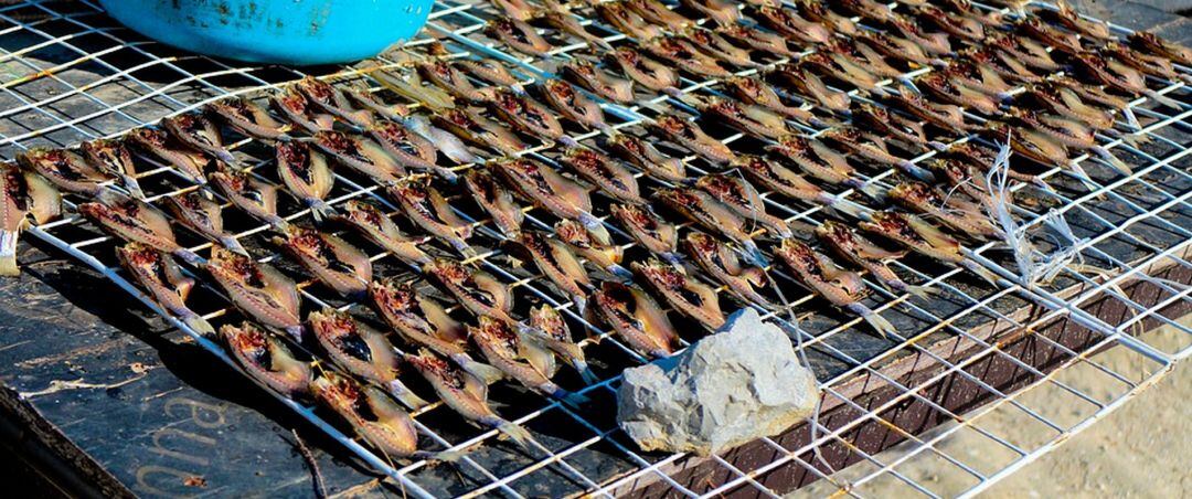 Secadero de peces similar al encontrado en la terraza de un piso de Gandia 