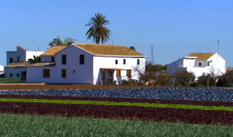 Huerta de Valencia, en una imagen de archivo