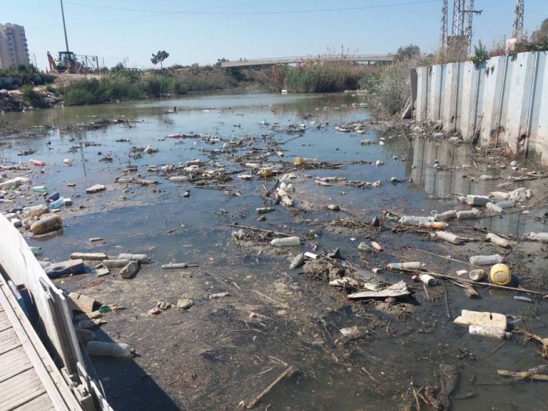 Plásticos en el Segura 