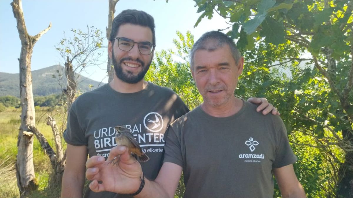 Bird Center, un lugar de encuentro con más de 60 especies de aves en la naturaleza