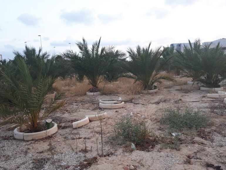 Parque de los niños y las niñas