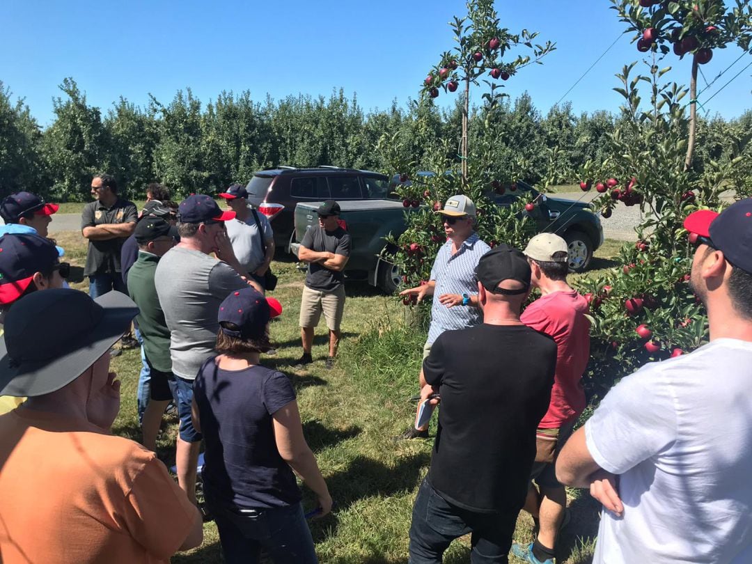 La visita a Nova Zelanda