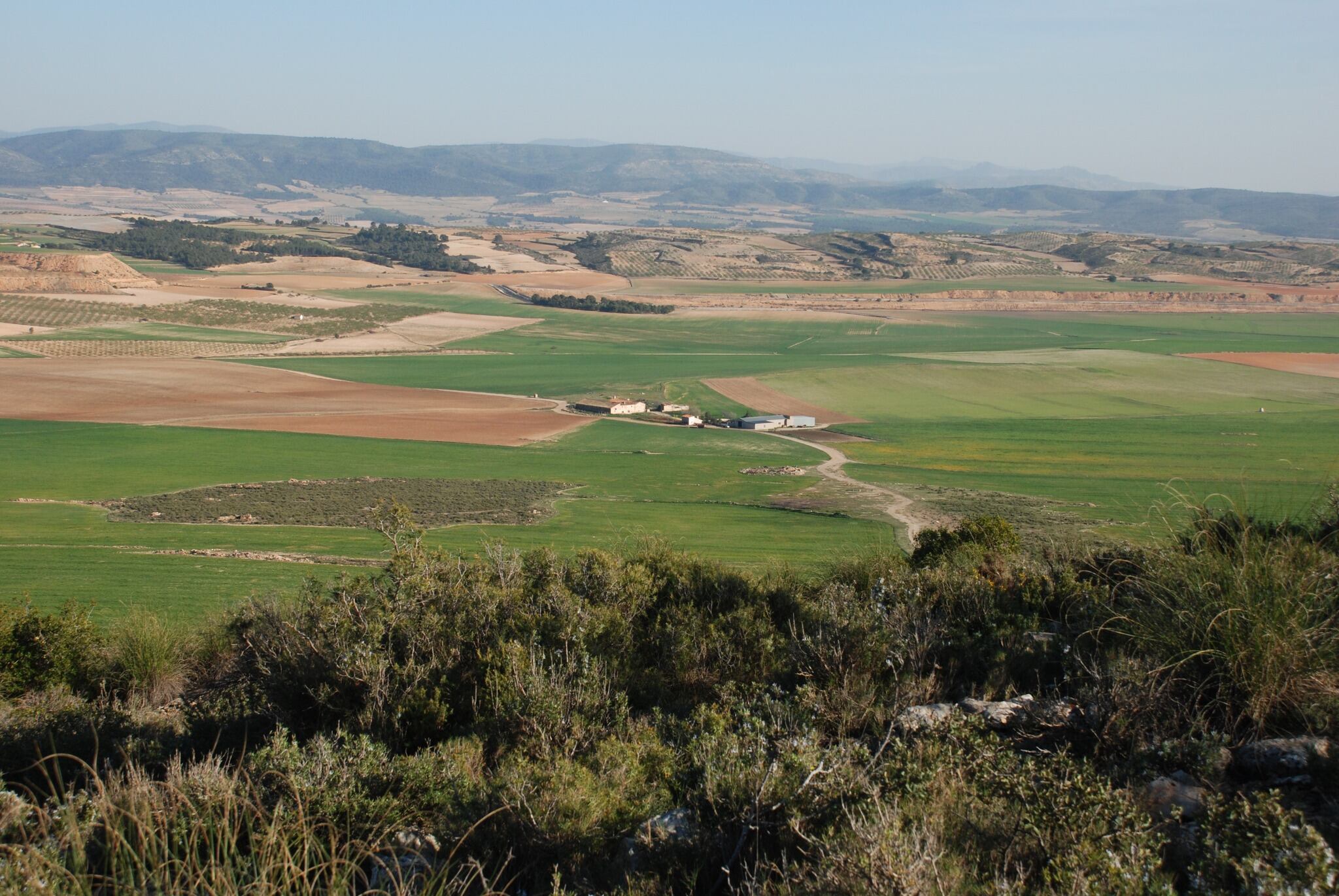Imagen del término de Villena