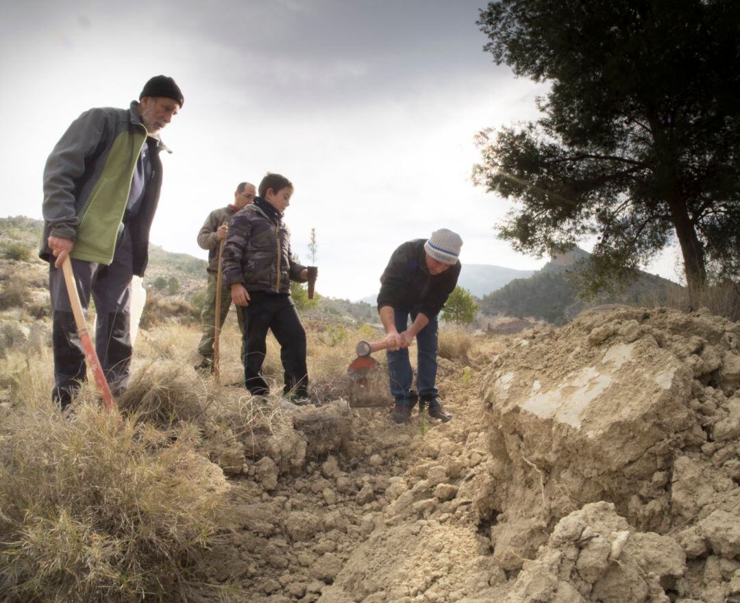 Petrer celebra el Día del Arbol con la plantación de 800 especies