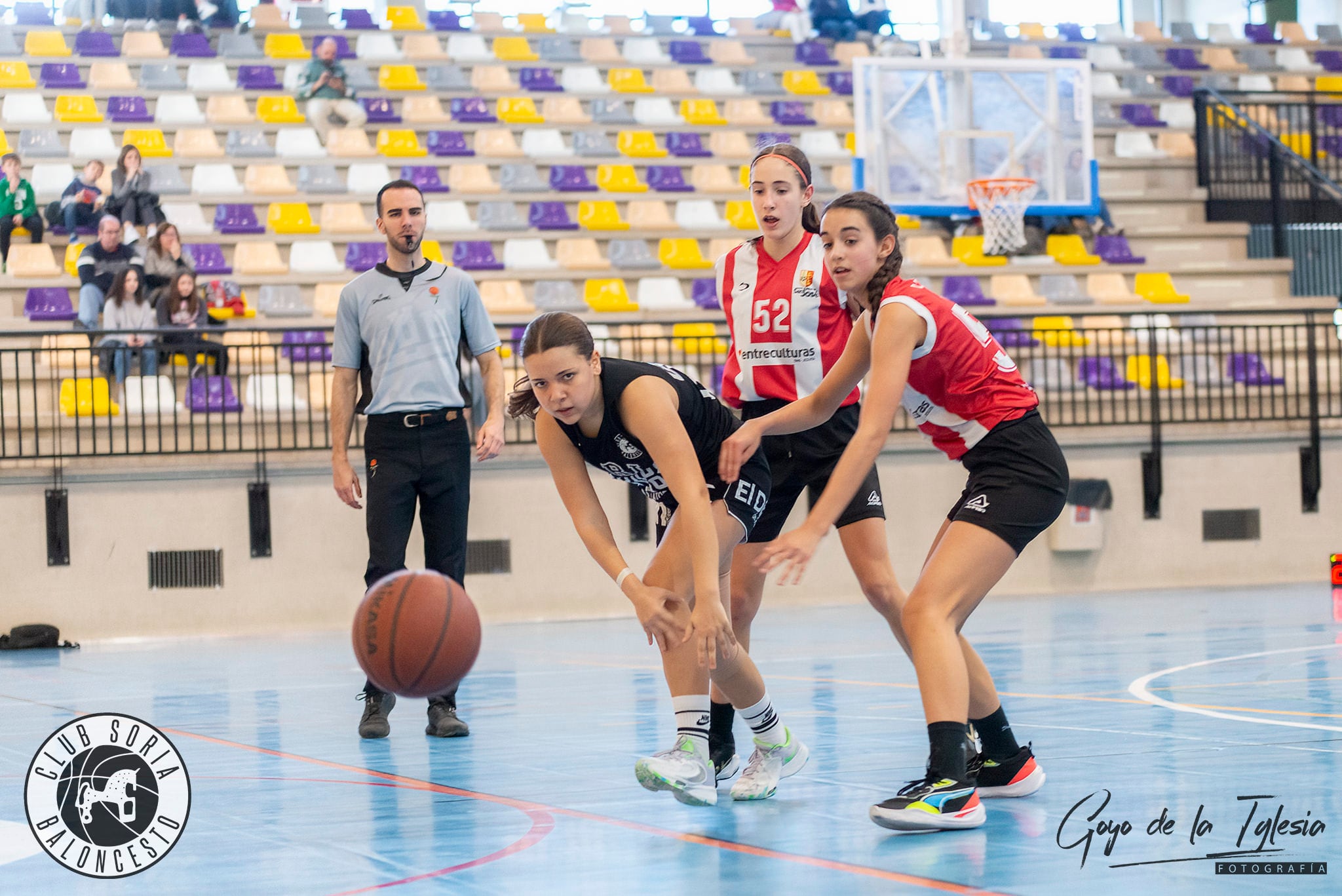 El Club Soria Baloncesto tendrá siete equipos masculinos y cuatro femeninos de base.