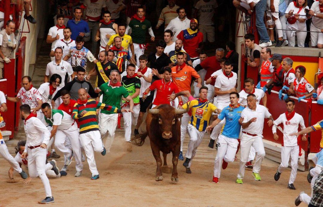 Los toros de la ganadería sevillana de Miura a su entrada en la plaza de toros de Pamplona 