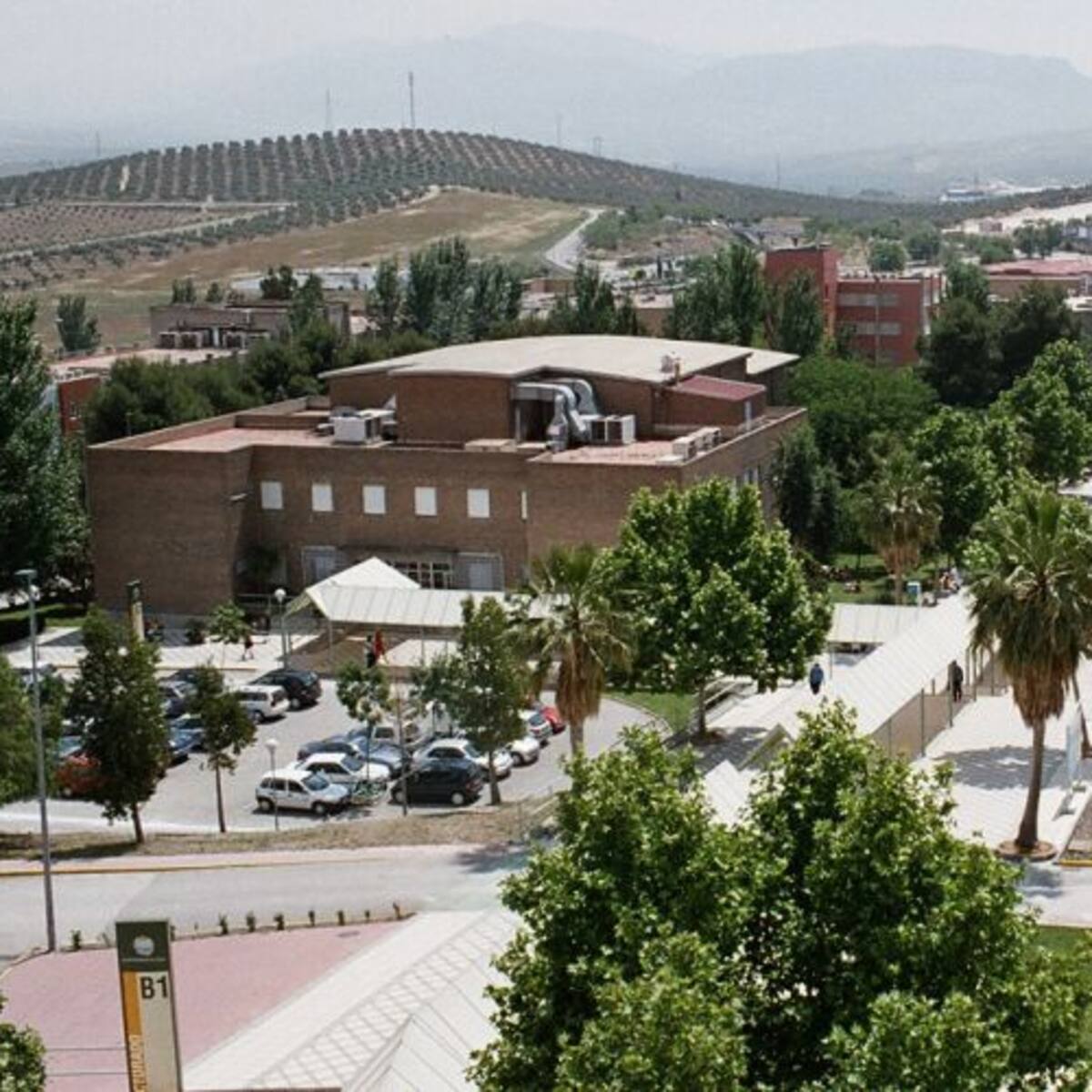 Éxito del primer encuentro virtual 'Facultad Cero Jaén' titulado 'Construyendo juntos el nuevo curso'