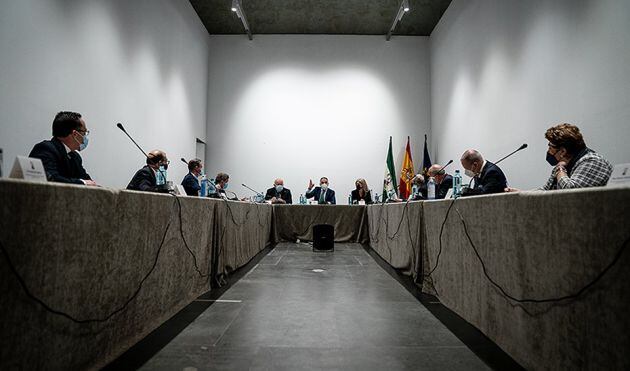El consejero de Presidencia, Elías Bendodo, presidió el encuentro con los presidentes de los Consejos locales de cofradías