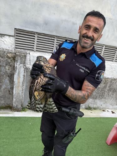 Agente de la Policía Local de Vigo con el ave rapaz