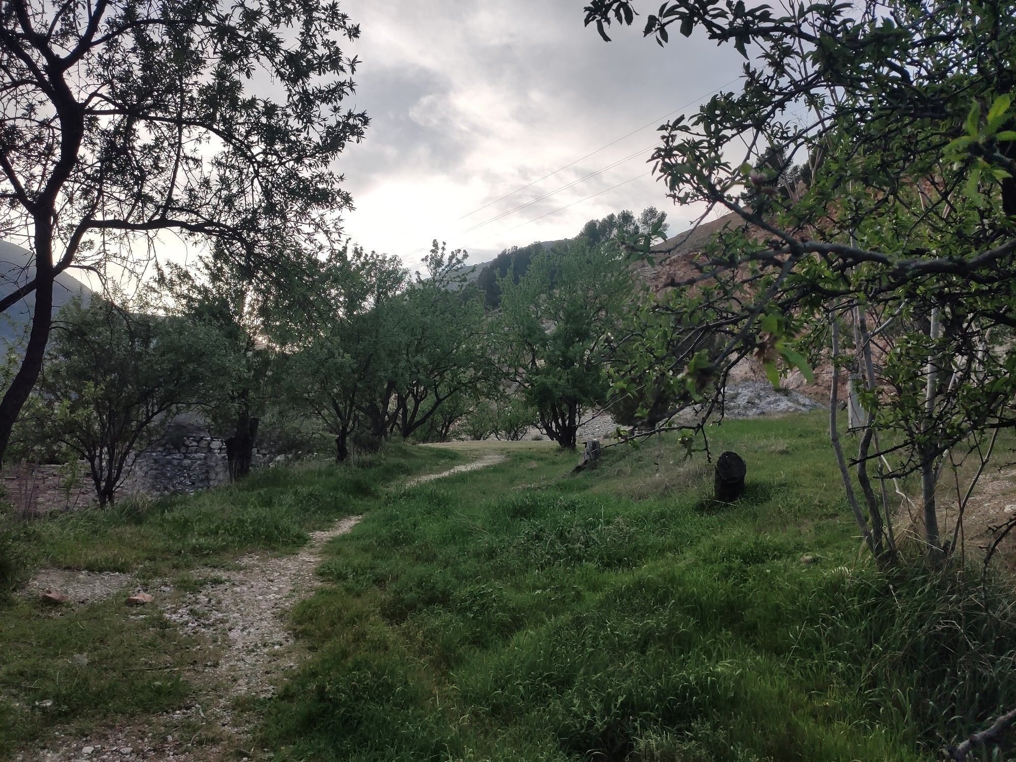 Un sendero en un entorno natural de la provincia de Jaén.