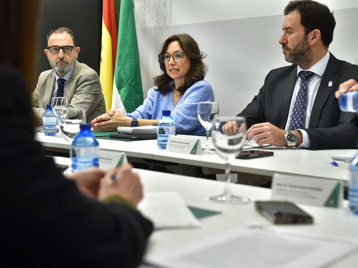 La Junta en Málaga trabaja para agilizar la distribución de fondos de recuperación tras los temporales