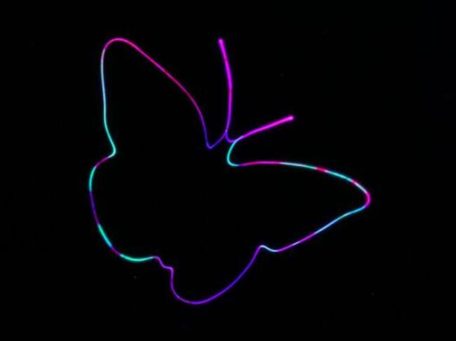 Una mariposa desarrollada a través de esta técnica.