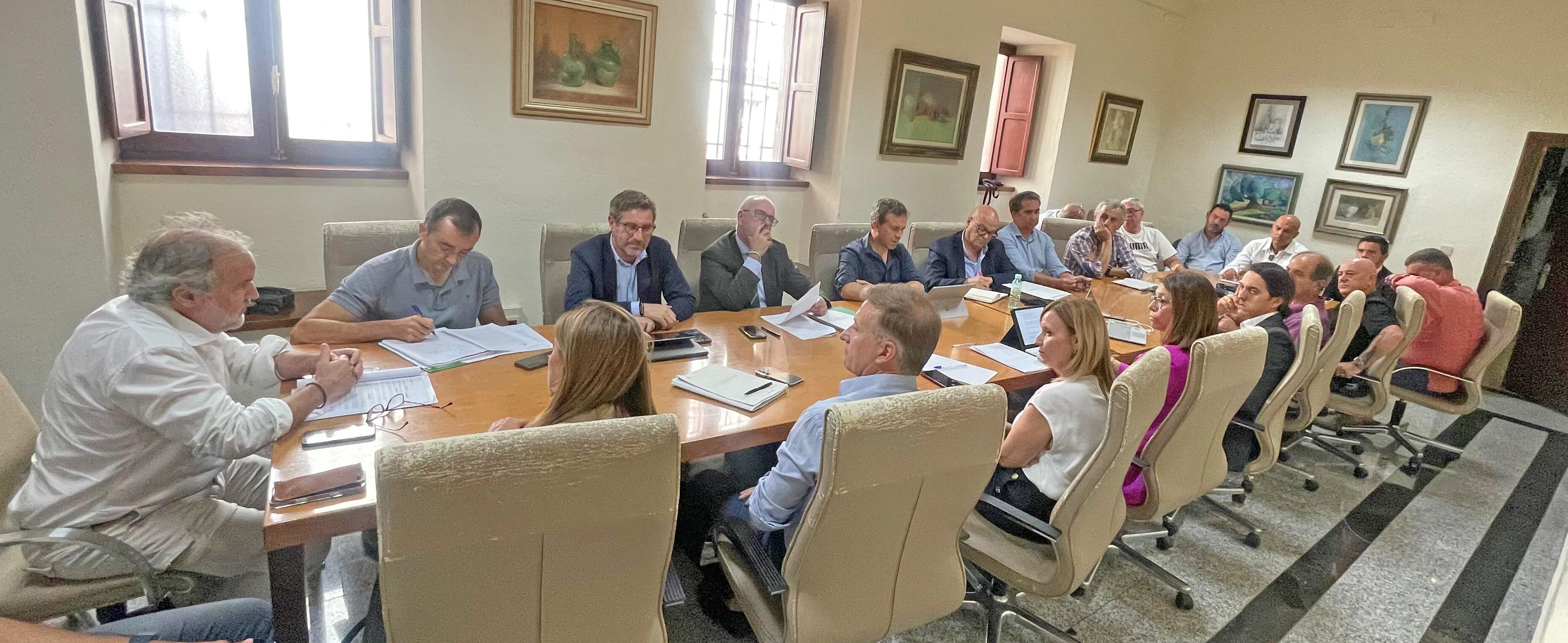 Comisión de seguimiento de Los Puentes