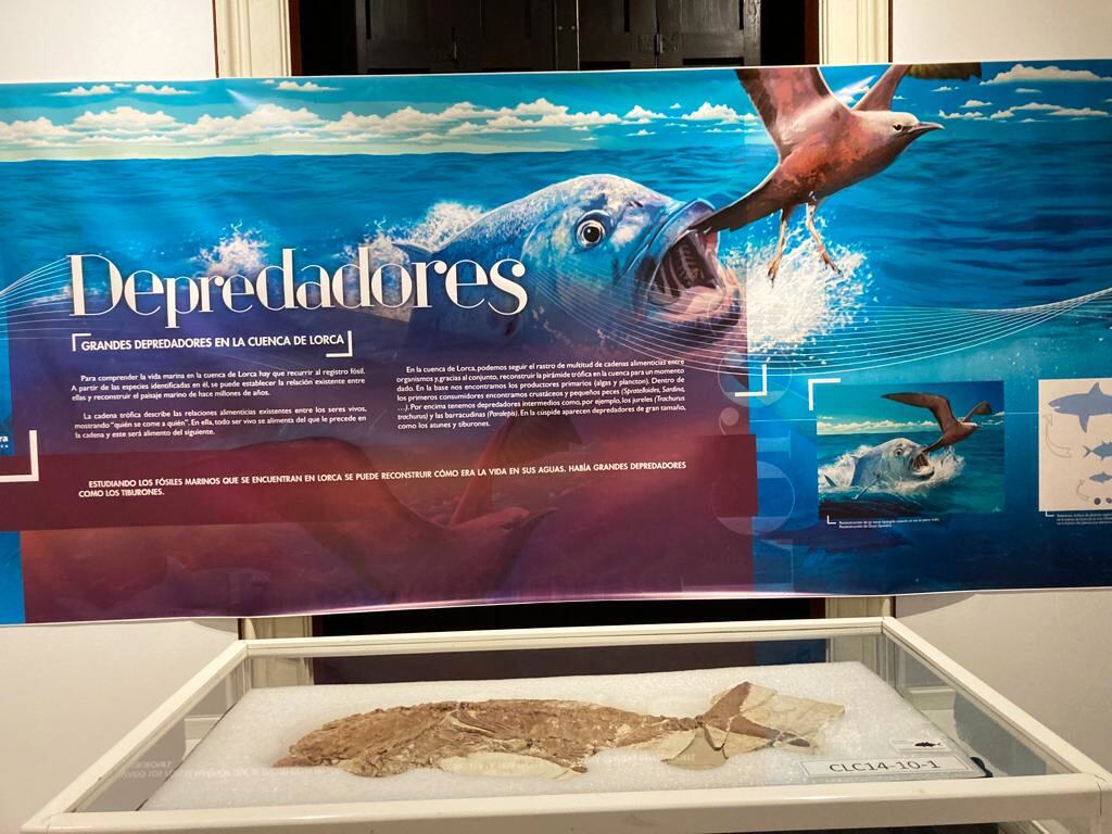 Exposición sobre el yacimiento de La Serrata
