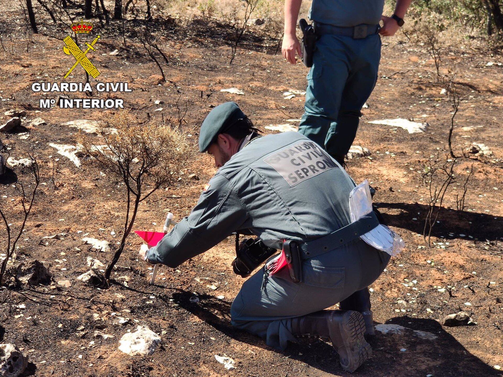 Agentes del Seprona de la Guardia Civil, en una imagen de archivo.