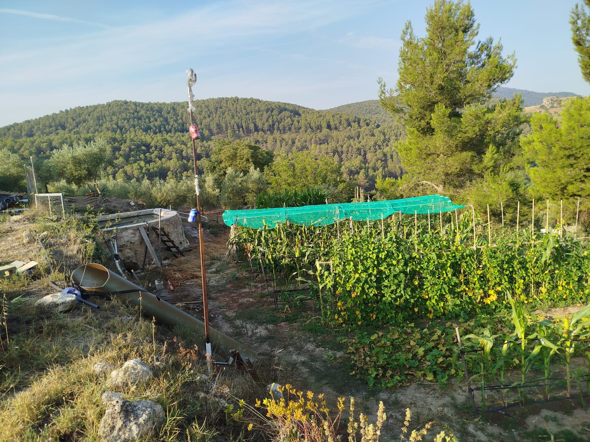 L´Horta de la Bassa, en Banyeres de Mariola