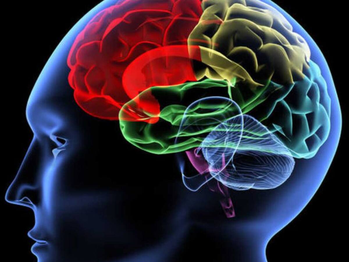 Retos de la ciencia en España