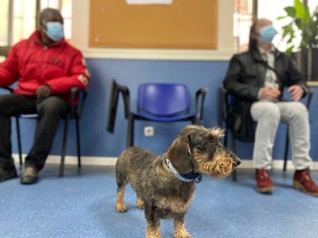 Dos asistentes en la terapia con animales en el centro de Rehabilitación Psicosocial Martinez Campos.