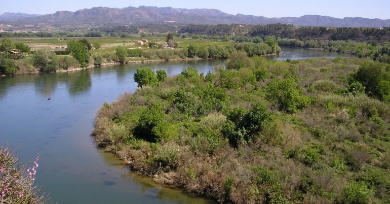 LEbre al seu pas per Miravet.