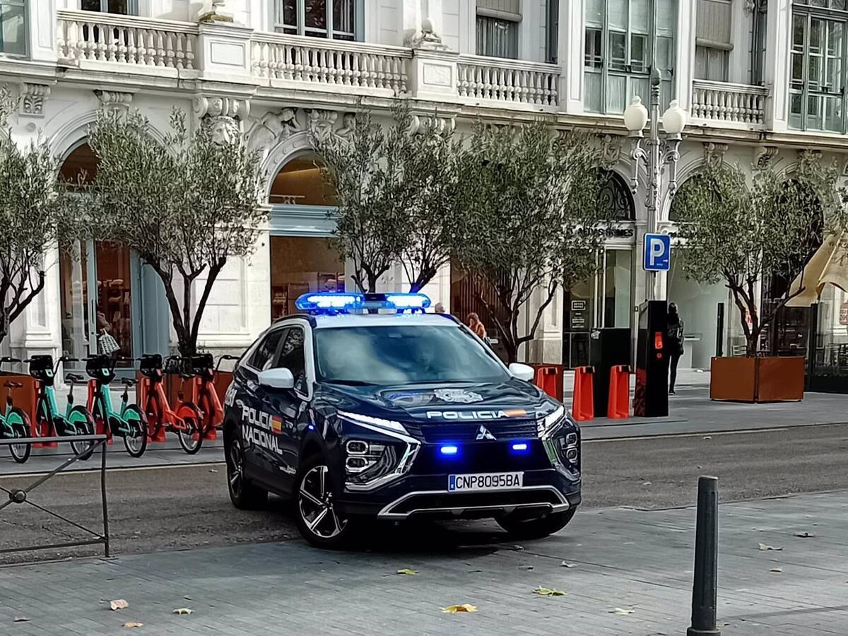 Detenidas cuatro personas por robar casi 3.000 euros en perfumes usando carritos de bebé y menores