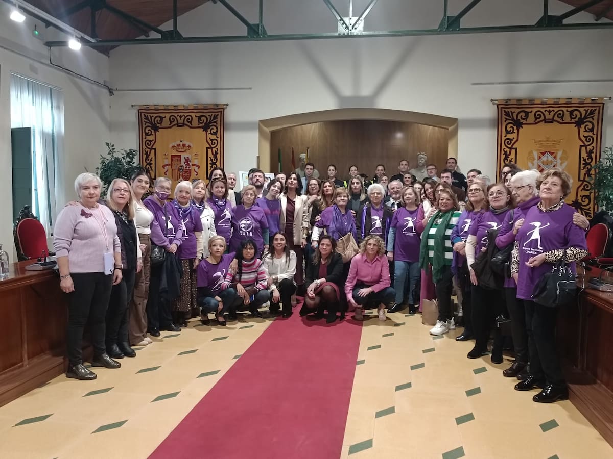 Mensajes del pleno institucional con motivo del 25N en Linares