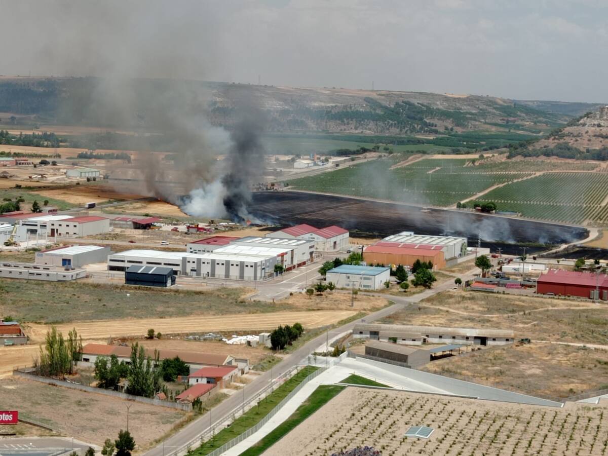 El presidente de Asaja Valladolid, Moncho Alonso, repasa en tiempo de Agrececoga en la SER, la cosecha del cereal y el riesgo de incendios