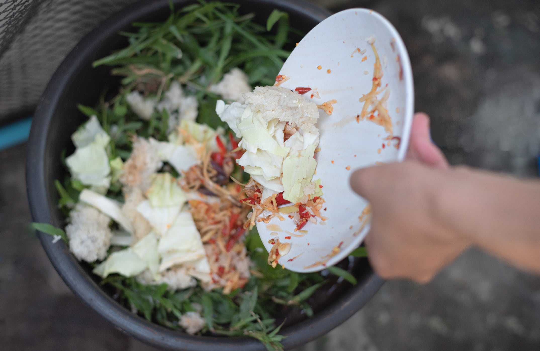 Una persona tira restos orgánicos a un cubo de basura