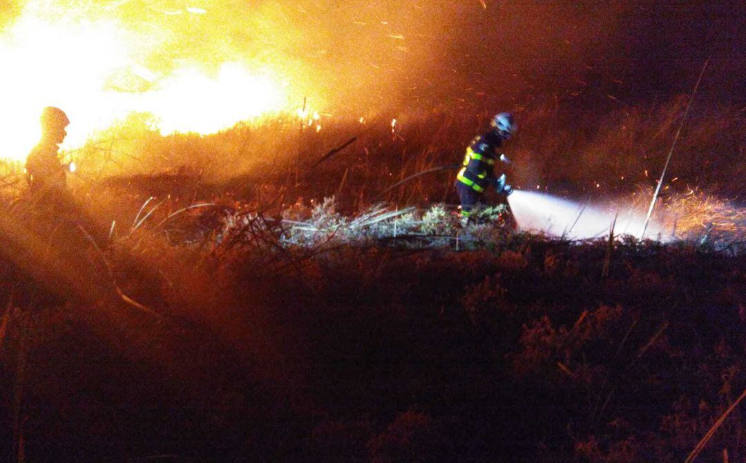 Efectivos de bomberos trabajando en el incendio de la dehesa de las Yeguas en Puerto Real