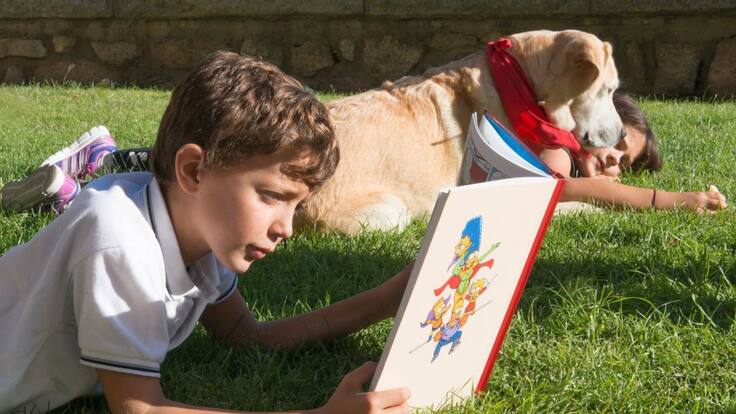 ¿Tienen las mismas oportunidades educativas todos los niños con TEA?