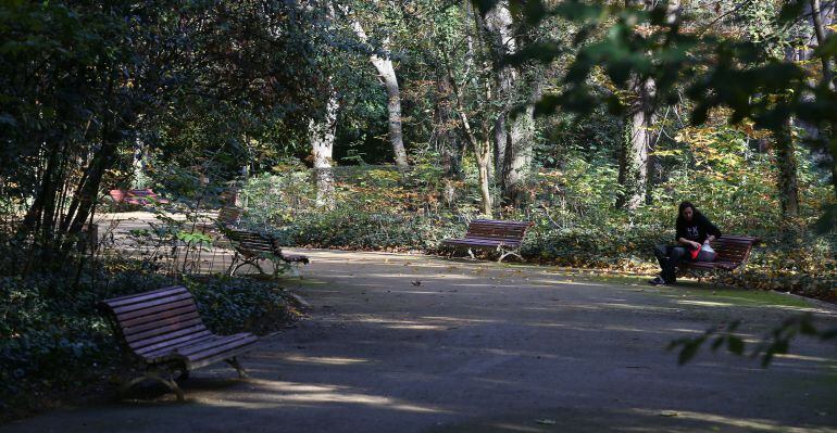 Árboles en el Campo Grande