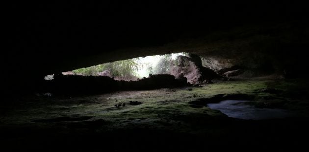 Entrada a la cueva del Sierpe vista desde el interior.