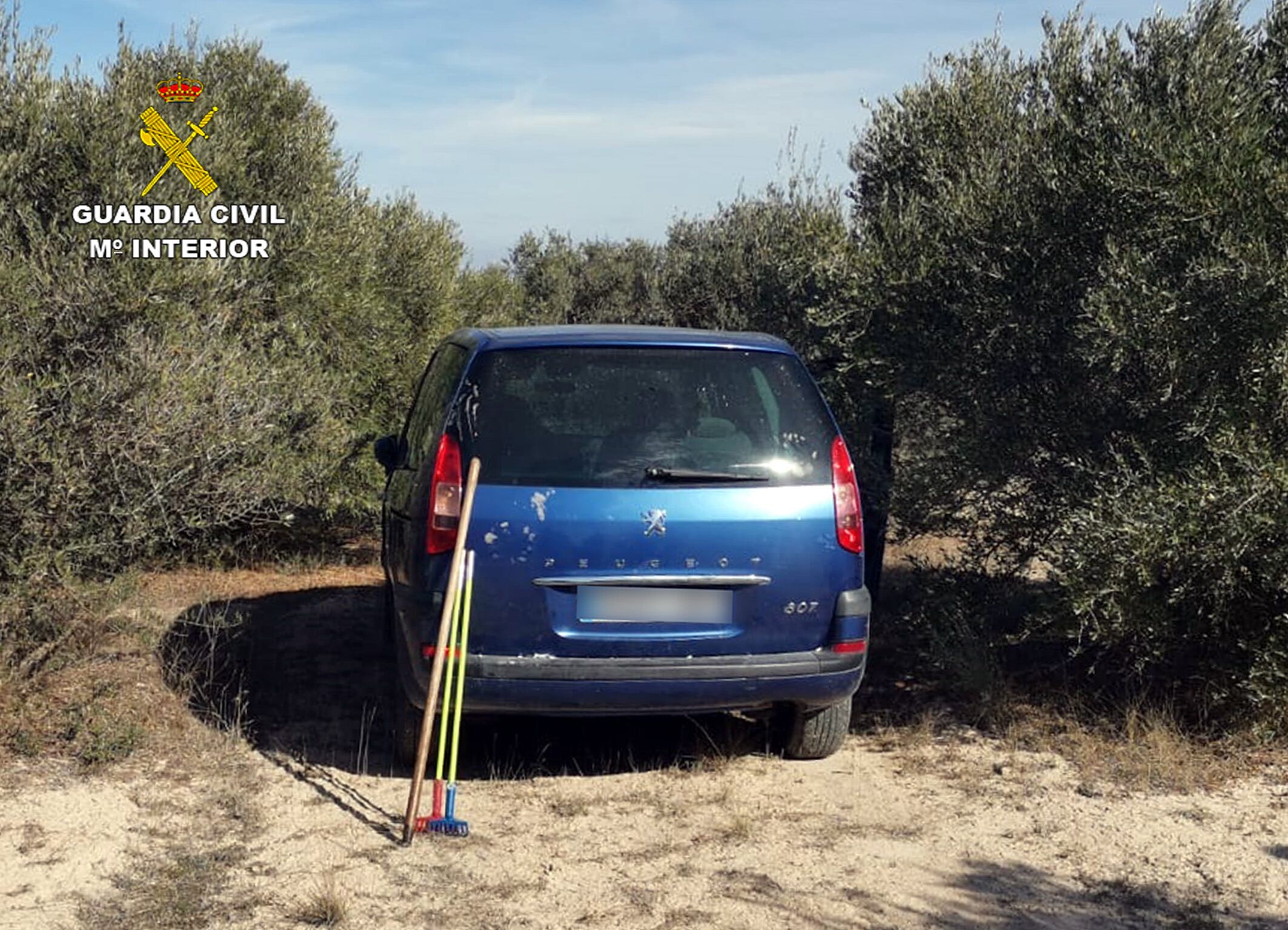 Imagen de uno de los vehículos utilizados por el grupo delictivo en uno de los campos donde fueron localizados
