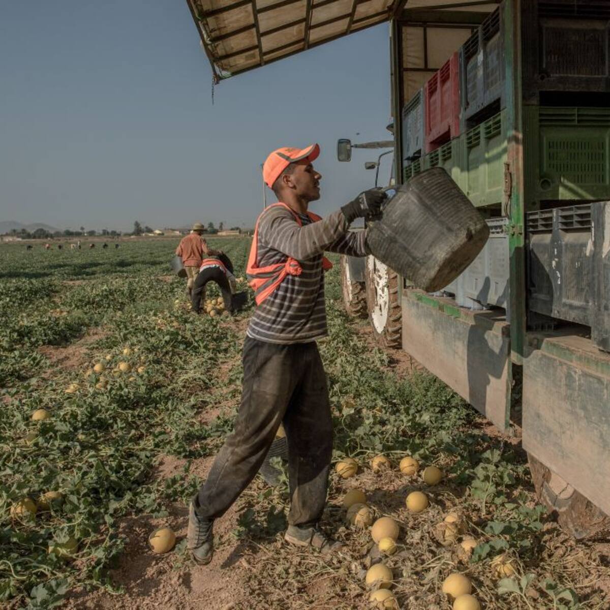 La Región de Murcia ganó casi 10.000 afiliados en abril gracias al repunte en agricultura y construcción