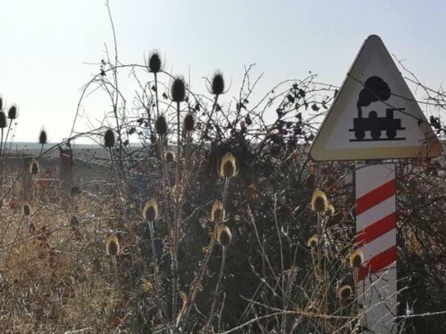 Adif detectó en enero hasta 65 incidencias que impedían la circulación segura del tren.