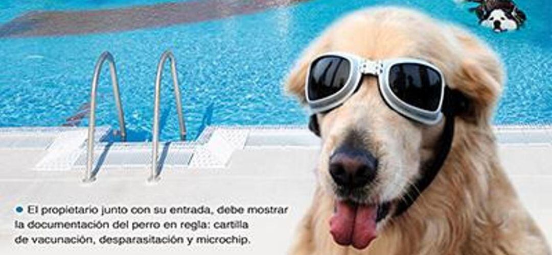 Cartel de promoción de la jornada 'Perros al agua' en Pinto