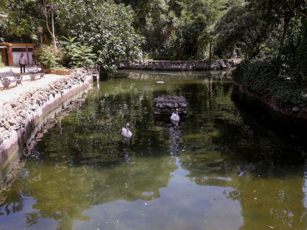 El Parque de María Luisa recupera sus patos