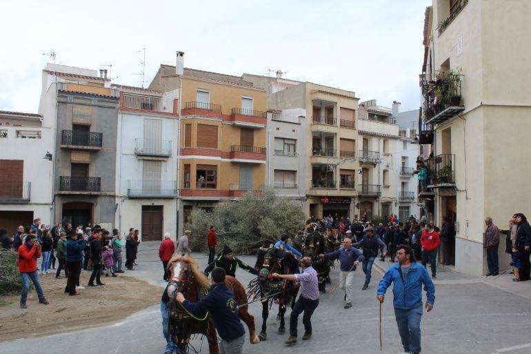 La provincia ha celebrado este fin de semana los festejos en honor a Sant Antoni