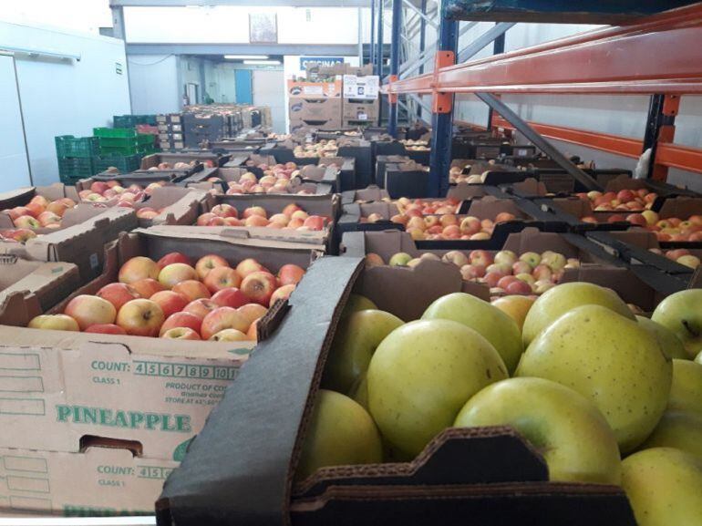 Productos frescos de calidad, preparados para su distribución en el Banco de Alimentos 