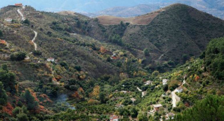 Sierra de las Nieves