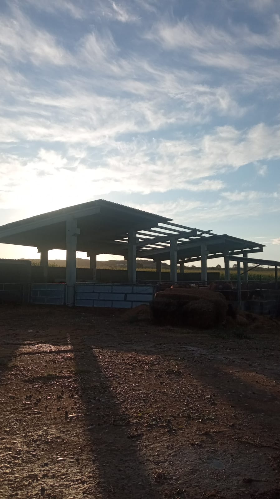 Las fuertes tormentas arrancan tejados en las naves agrícolas.