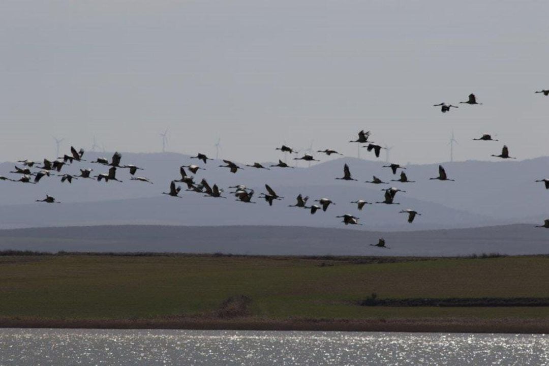 La Radio del Somormujo se ha convertido en un punto de encuentro de todas las personas que aman las aves, la ciencia y, en general, el turismo ornitológico: los birders 