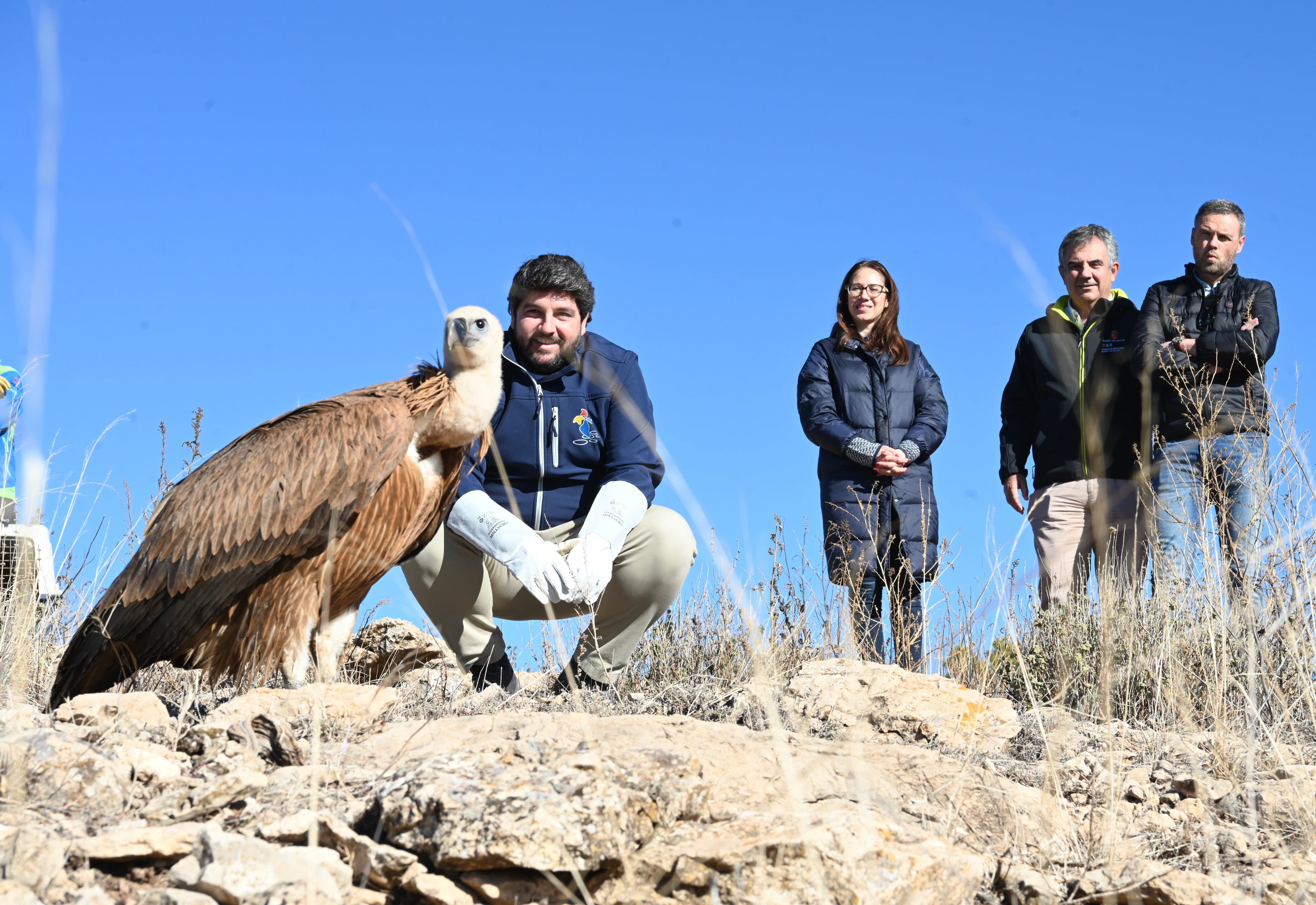 El presidente del Gobierno regional libera dos ejemplares en la sierra de Mojantes de Caravaca de la Cruz