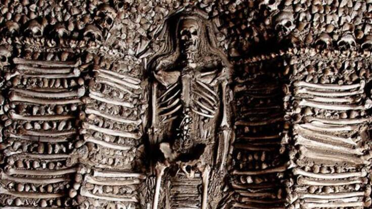 Tao cerca (01/05/2019)