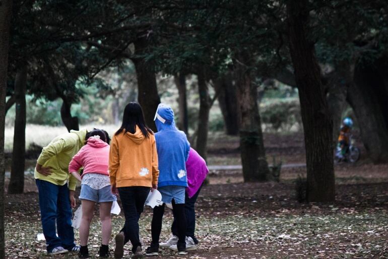 Varios niños juegan en un parque.