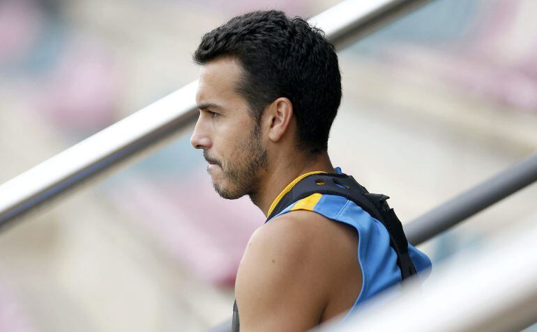 El delantero del FC Barcelona Pedro Rodríguez durante el entrenamiento