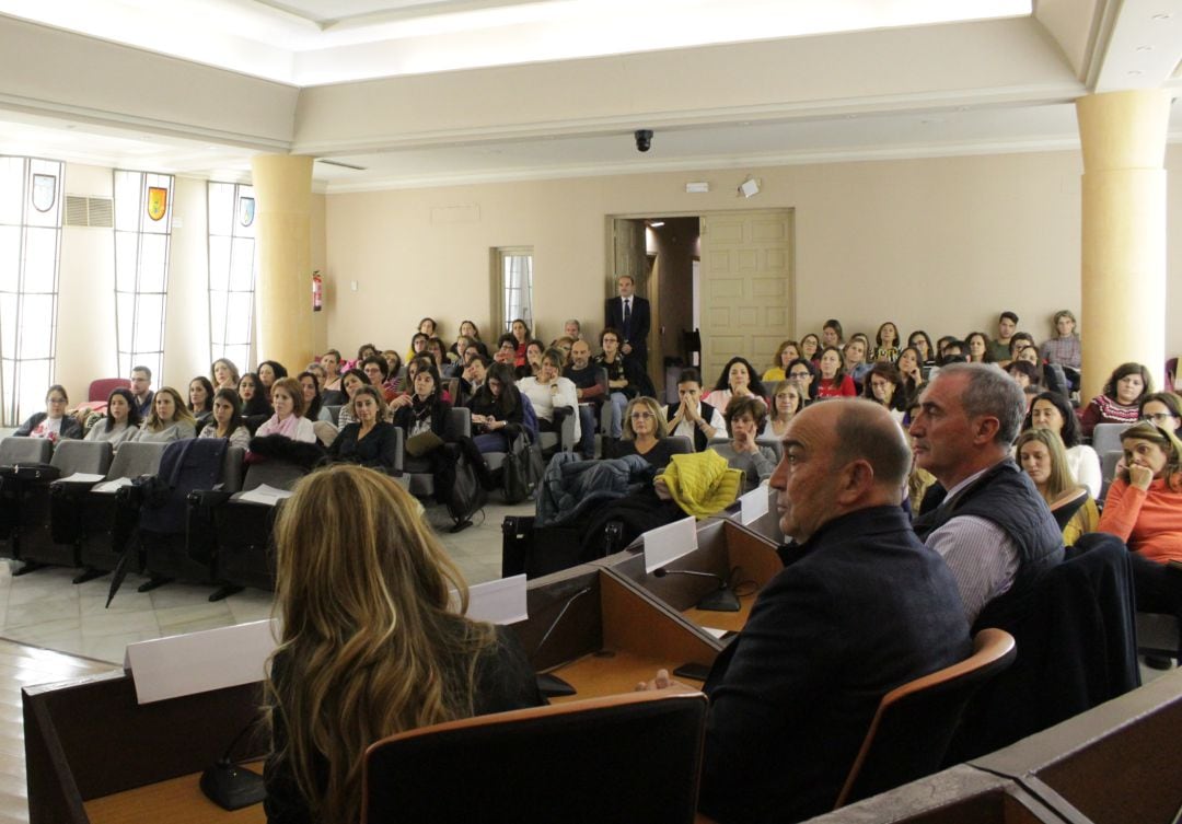 La ponencias se realizaron en un abarrotado salón de plenos de la Diputación